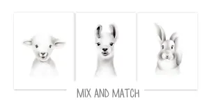 Baby Animal Fluffy Face Prints - Set of 3