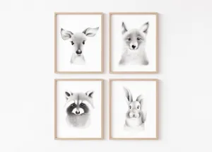 Baby Animal Sketch Prints - Set of 4
