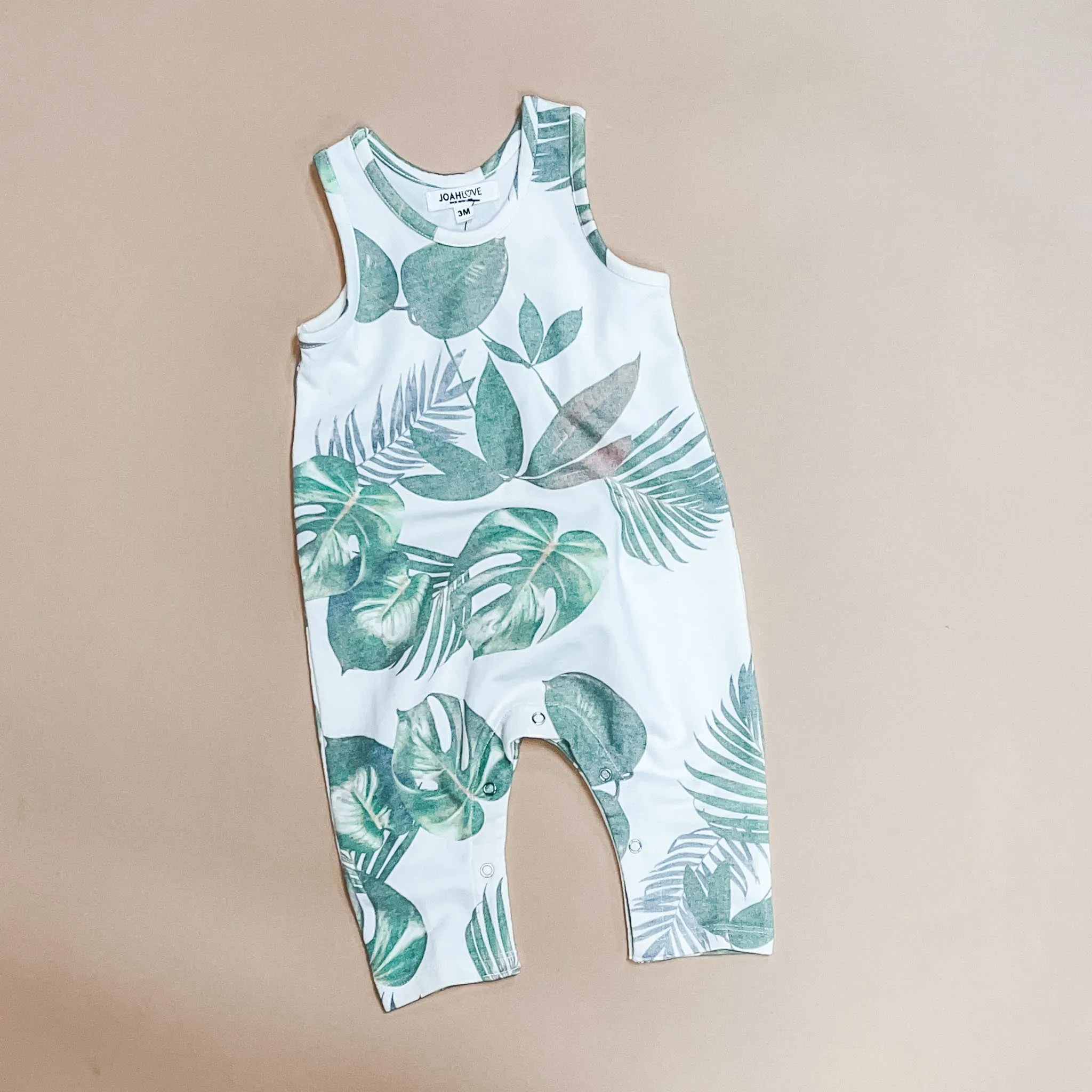 Otto-Palm