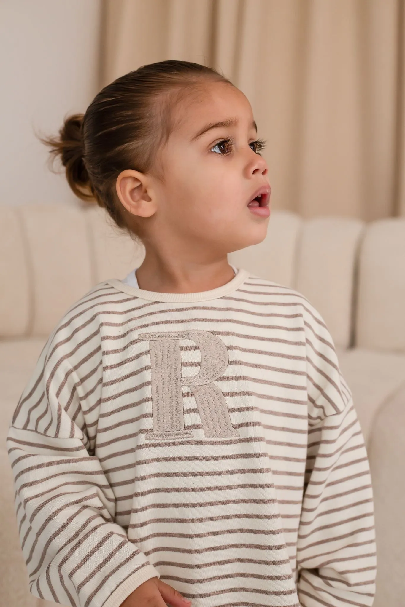 Pre-Order Oversized Stripe Sweatshirt - Embroidered