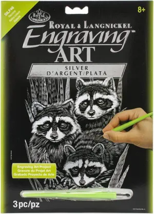 Raccoons Silver Foil Engraving Art Kit